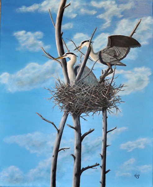 grands heron nids